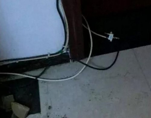 二哈拆家咬到電線，成果被電到炸毛，主人笑翻：小家伙長的真共同